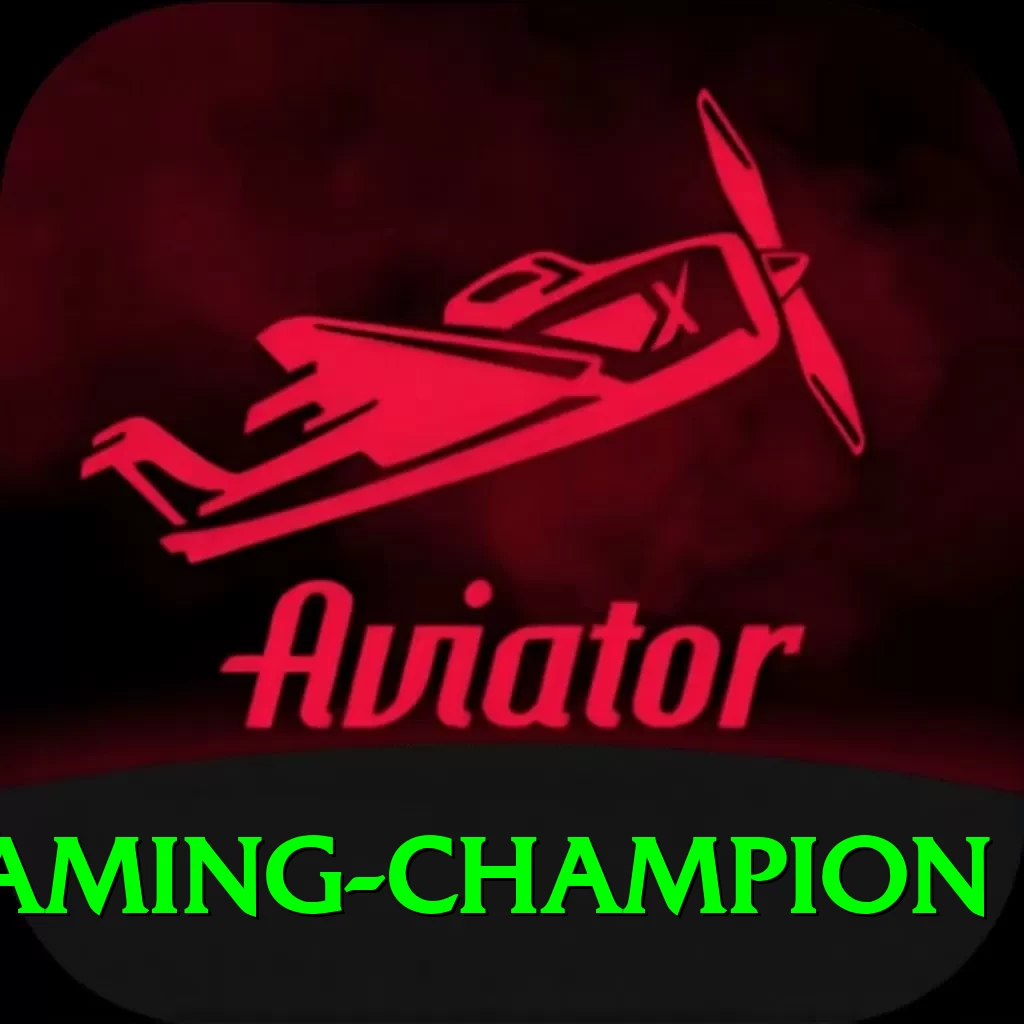 baji - Gaming Champion - 2