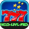 bingo - Live Pro