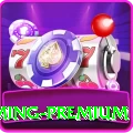 llyy Gaming Premium